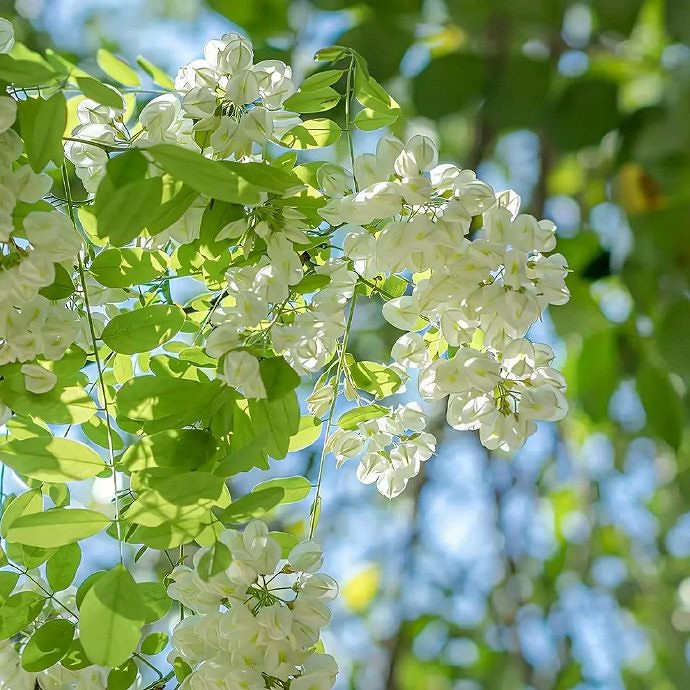 《英雄聯盟》30歲男人網名簡單乾淨一覽