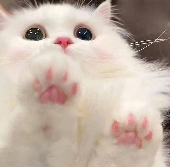 《英雄聯盟》一聽就很顛的網名大全