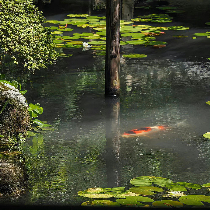《英雄聯盟》禁欲系二字ID介紹 《英雄聯盟》禁欲系二字ID介紹