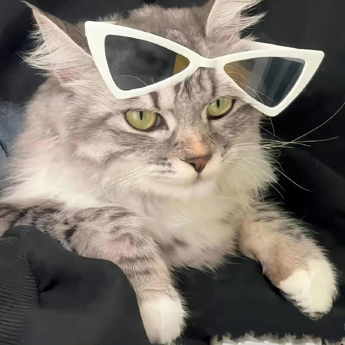 《英雄聯盟》一聽就很顛的網名大全