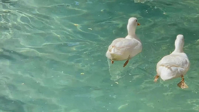 《英雄聯盟》清冷破碎感網名一覽