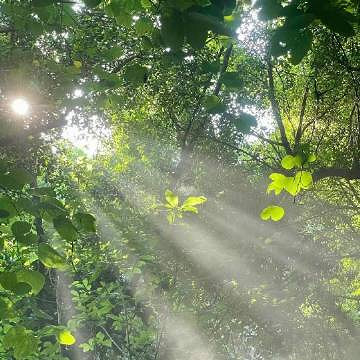 《英雄聯盟》比較瘋癲的網名匯總 《英雄聯盟》比較瘋癲的網名匯總