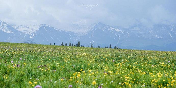 《英雄聯盟》改個心情好的網名大全 《英雄聯盟》改個心情好的網名大全