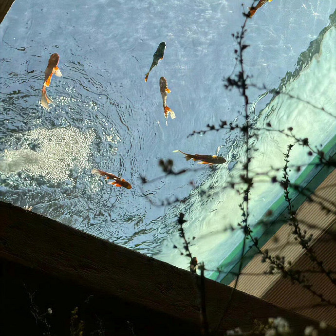 《英雄聯盟》清冷到極致的id分享