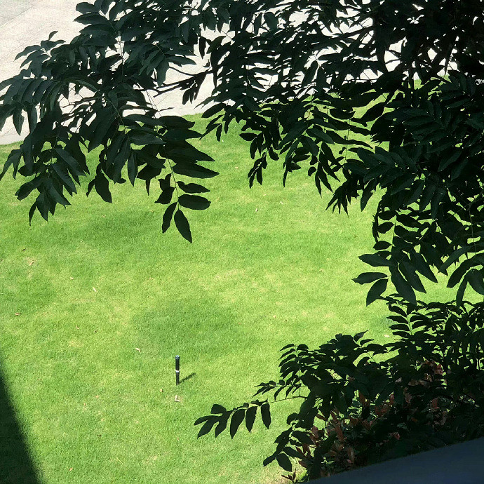 《英雄聯盟》又純又欲的網名推薦