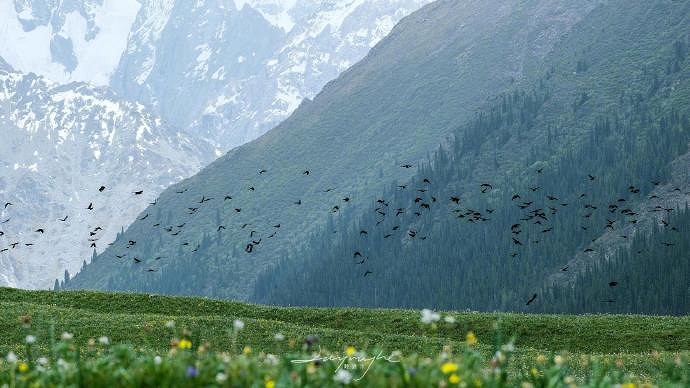 《英雄聯盟》改個心情好的網名大全 《英雄聯盟》改個心情好的網名大全