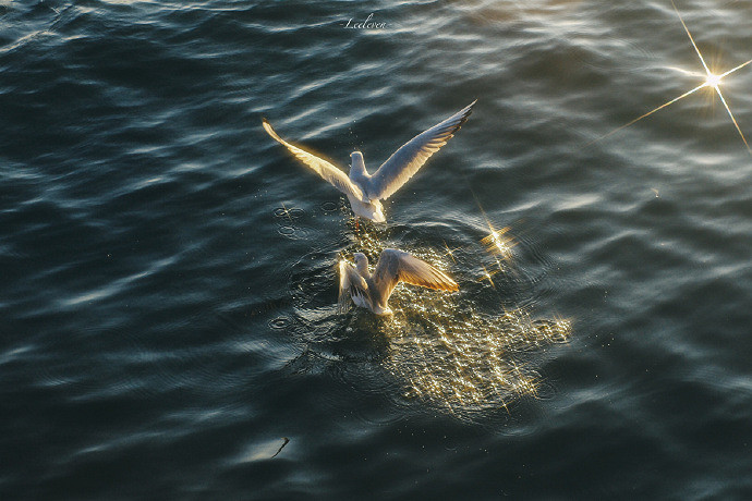 《英雄聯盟》兩個字走心網名分享