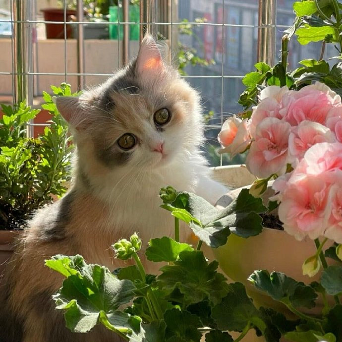 《英雄聯盟》100個稀有暱稱男介紹