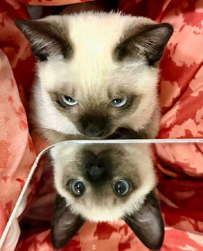 《英雄聯盟》霸氣有吸引力的網名一覽 《英雄聯盟》霸氣有吸引力的網名一覽