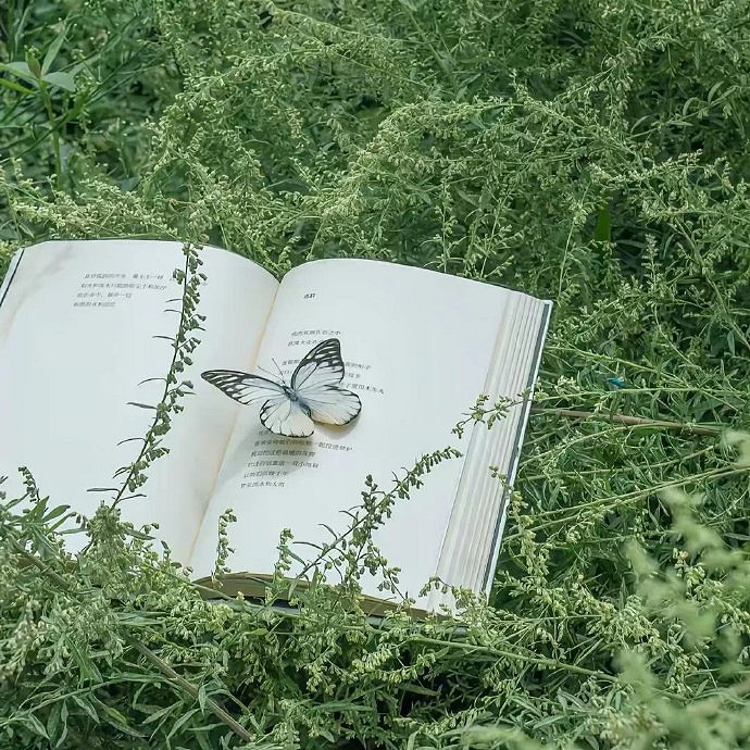 《英雄聯盟》30歲男人網名簡單乾淨一覽