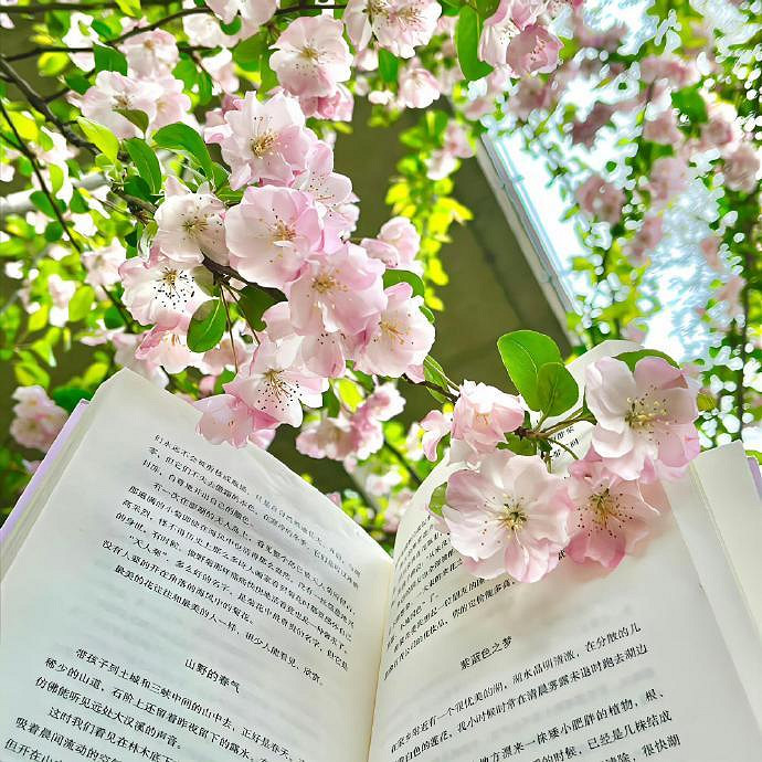 《英雄聯盟》一秒封神的網名推薦