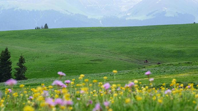 《英雄聯盟》改個心情好的網名大全 《英雄聯盟》改個心情好的網名大全