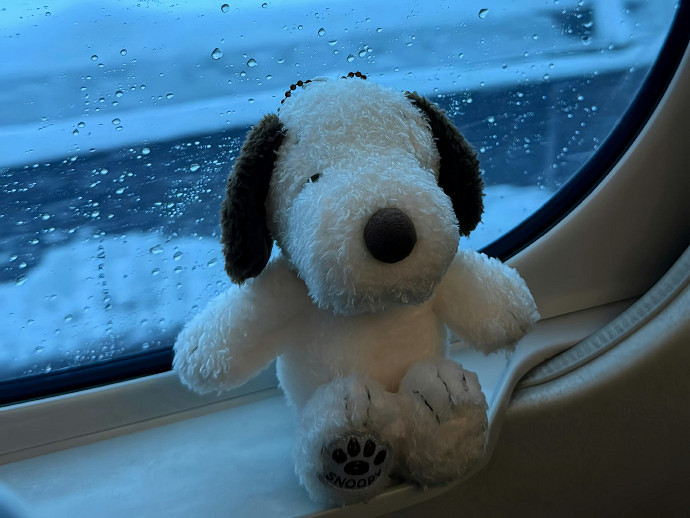 《英雄聯盟》2025流行網名大全