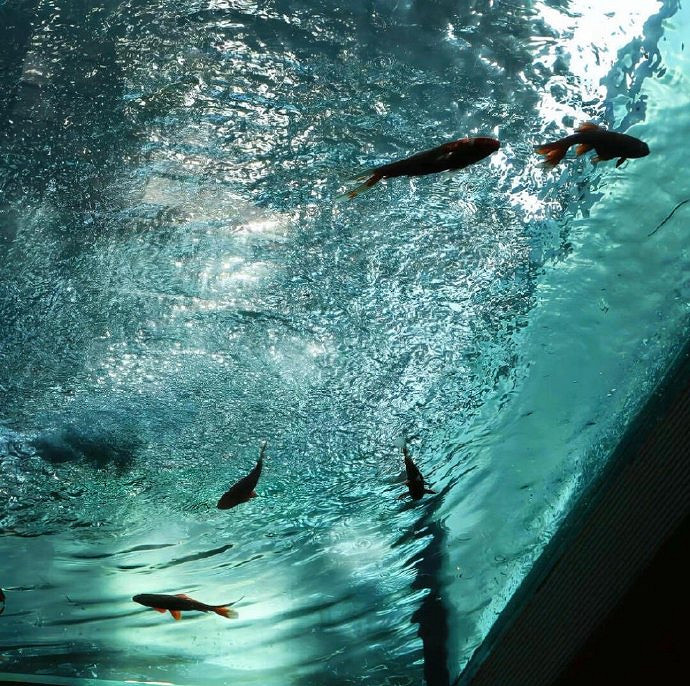 《英雄聯盟》網名好聽又霸氣大全