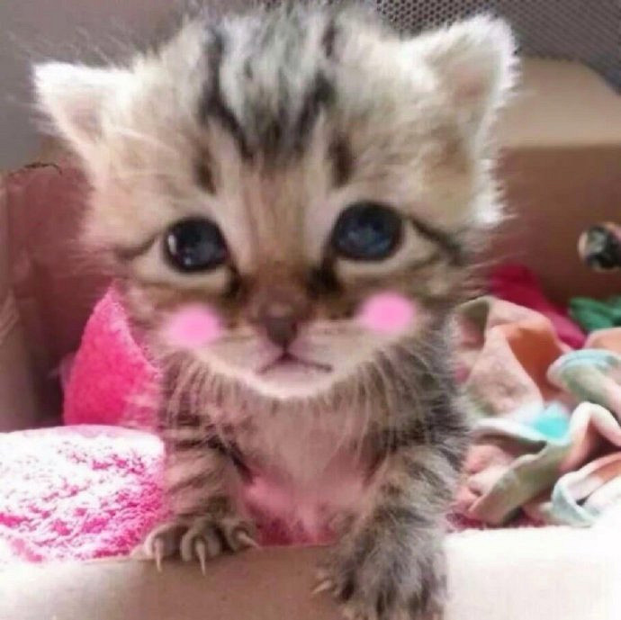 《英雄聯盟》emo網名小眾且高級推薦 《英雄聯盟》emo網名小眾且高級推薦