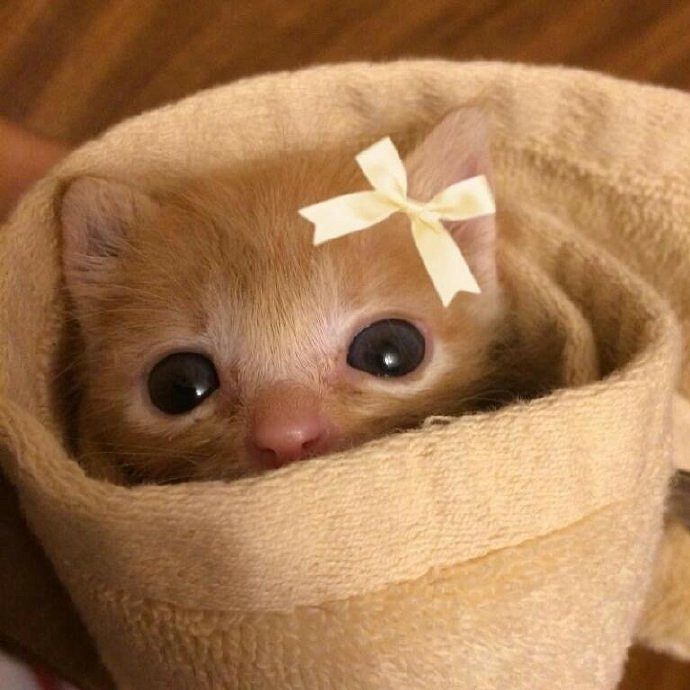 《英雄聯盟》emo網名小眾且高級推薦 《英雄聯盟》emo網名小眾且高級推薦