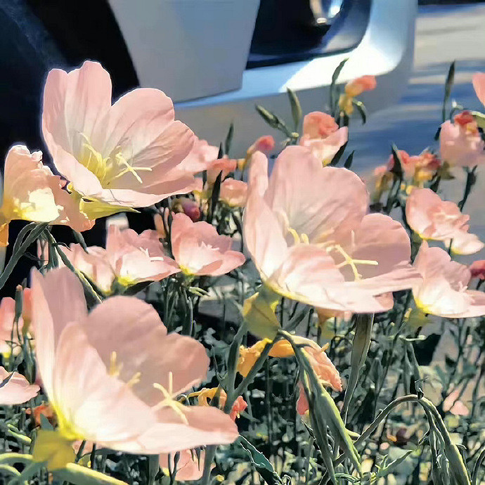 《英雄聯盟》又純又欲的網名推薦