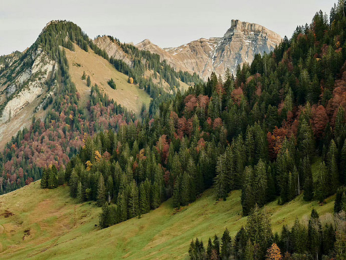 《英雄聯盟》古風id詩意好聽匯總