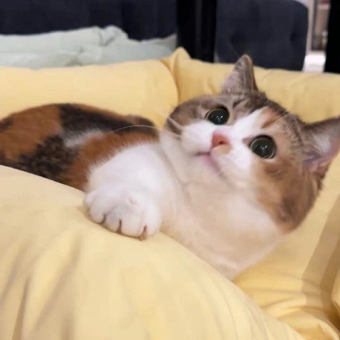 《英雄聯盟》100個稀有暱稱男介紹