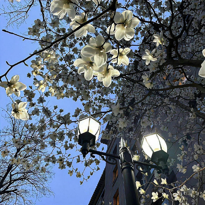 《英雄聯盟》網名男簡單霸氣大全