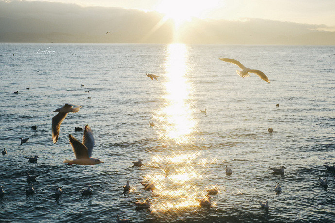 《英雄聯盟》兩個字走心網名分享