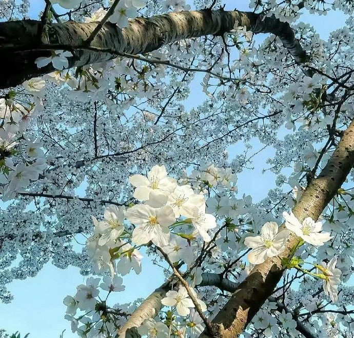 《英雄聯盟》又狠又霸氣的暱稱推薦