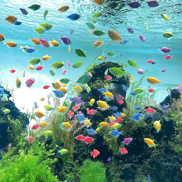 《英雄聯盟》有格局暱稱四字分享