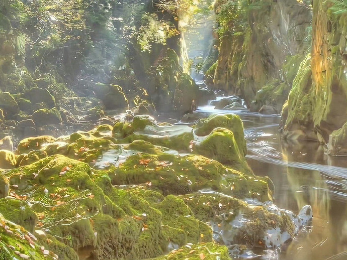 《英雄聯盟》女人看淡一切的暱稱推薦