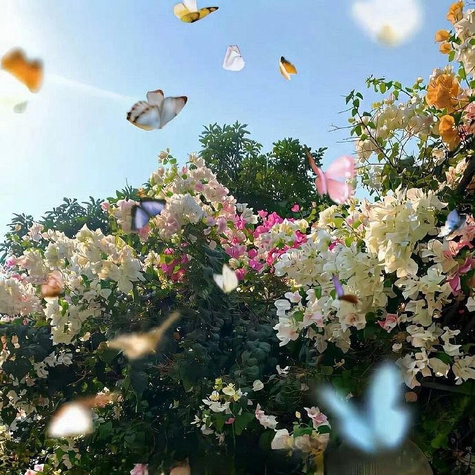 《英雄聯盟》又狠又霸氣的暱稱推薦