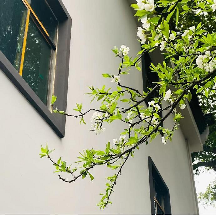 《英雄聯盟》一眼就驚豔的網名分享