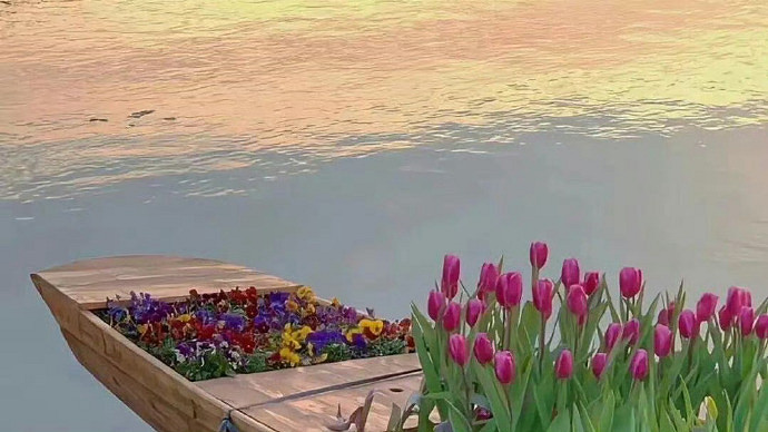 《英雄聯盟》古風id詩意好聽匯總