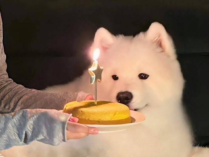 《英雄聯盟》一聽就驚豔的網名介紹