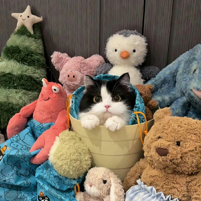 《英雄聯盟》一聽就很顛的網名大全