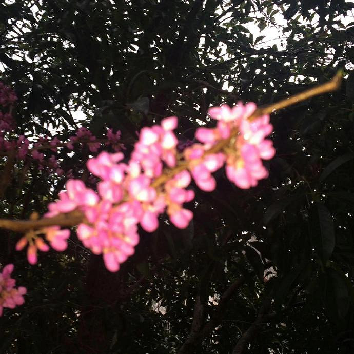 《英雄聯盟》好聽而意境深遠的網名一覽