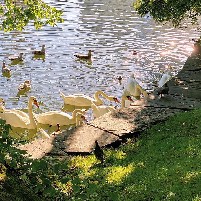 《英雄聯盟》男人有格局的網名4個字大全