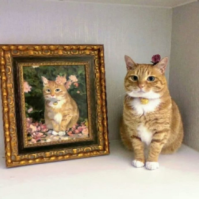 《英雄聯盟》100個稀有暱稱男介紹