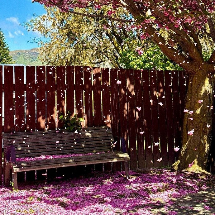 《英雄聯盟》霸氣高冷到爆的網名大全