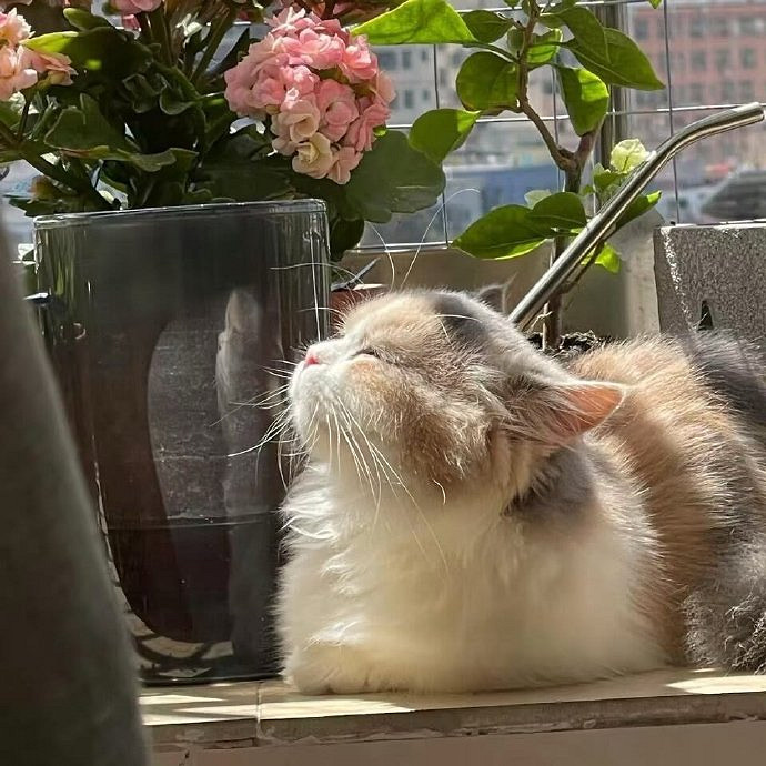 《英雄聯盟》100個稀有暱稱男介紹