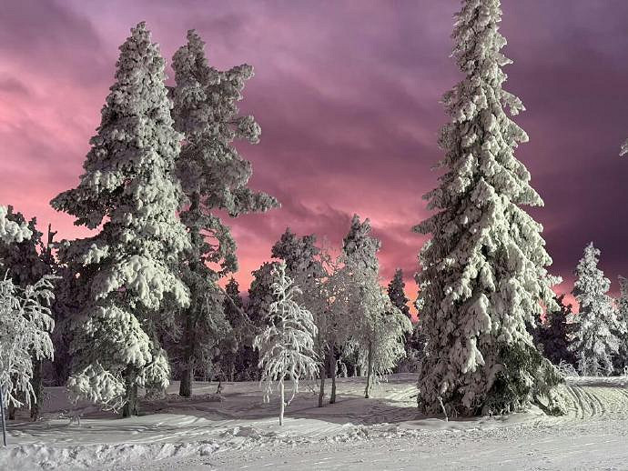 《英雄聯盟》女生暱稱ins高級質感分享