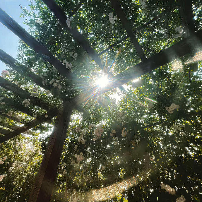 《英雄聯盟》2025翻身上岸網名一覽 《英雄聯盟》2025翻身上岸網名一覽