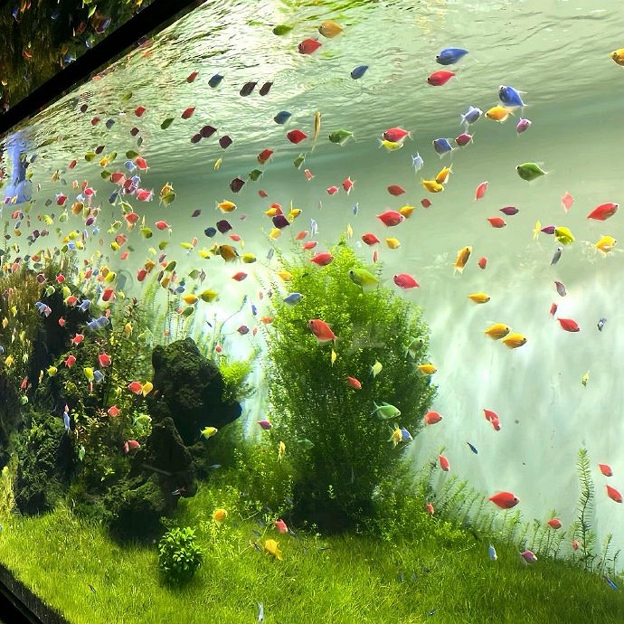 《英雄聯盟》男人有格局的網名4個字大全