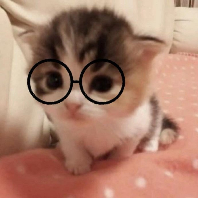 《英雄聯盟》emo網名小眾且高級推薦 《英雄聯盟》emo網名小眾且高級推薦