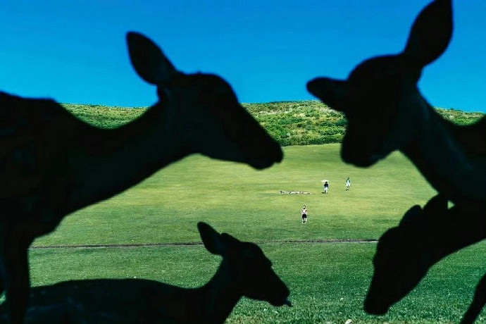 《英雄聯盟》清冷破碎感網名一覽