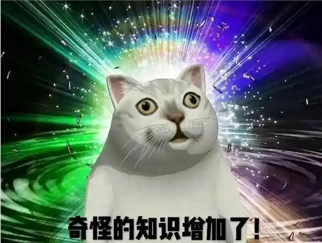 黃金服又雙叒叕發錢了，全服搶12個裝備位，榜首直接成網易股東