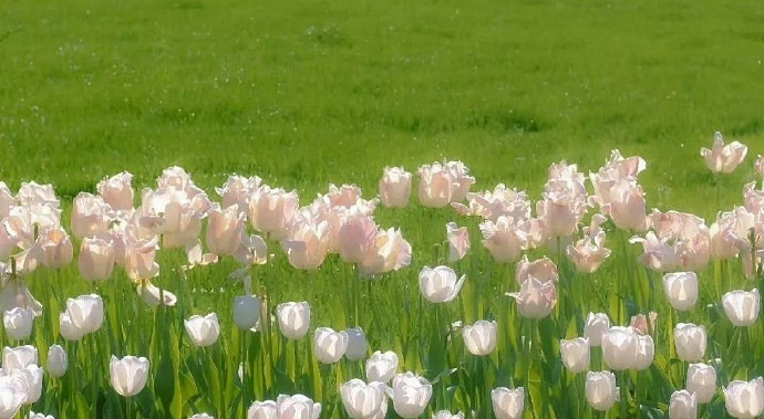 《英雄聯盟》清冷破碎感網名一覽