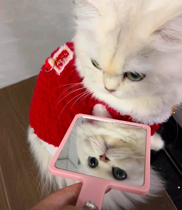 《英雄聯盟》霸氣有吸引力的網名一覽 《英雄聯盟》霸氣有吸引力的網名一覽