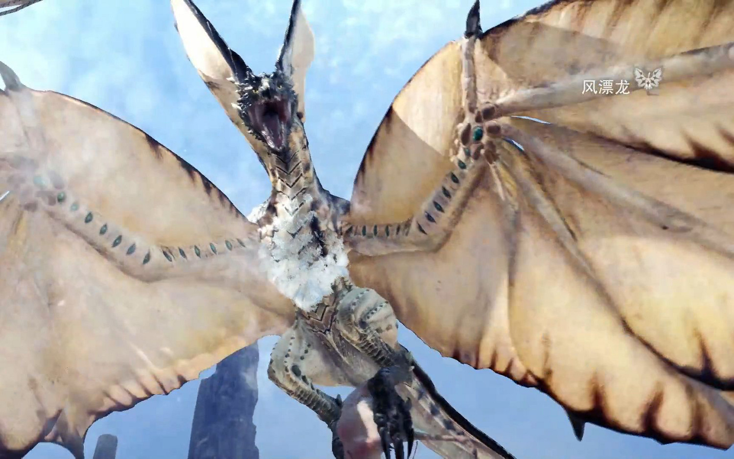 新大陸調查團書士支隊調查定期報告--怪獵世界生態盤點 新大陸調查團書士支隊調查定期報告--怪獵世界生態盤點