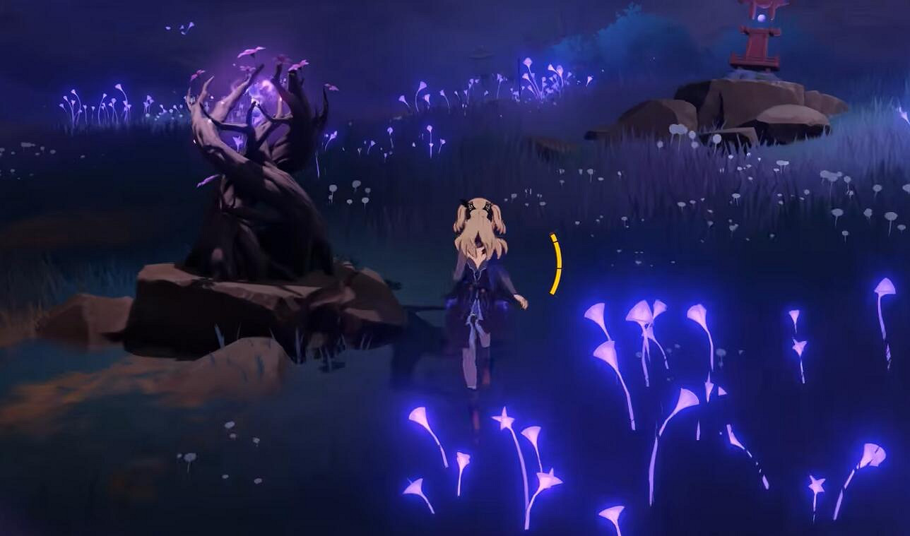 《原神》神櫻大祓三個結界位置圖解 《原神》神櫻大祓三個結界位置圖解