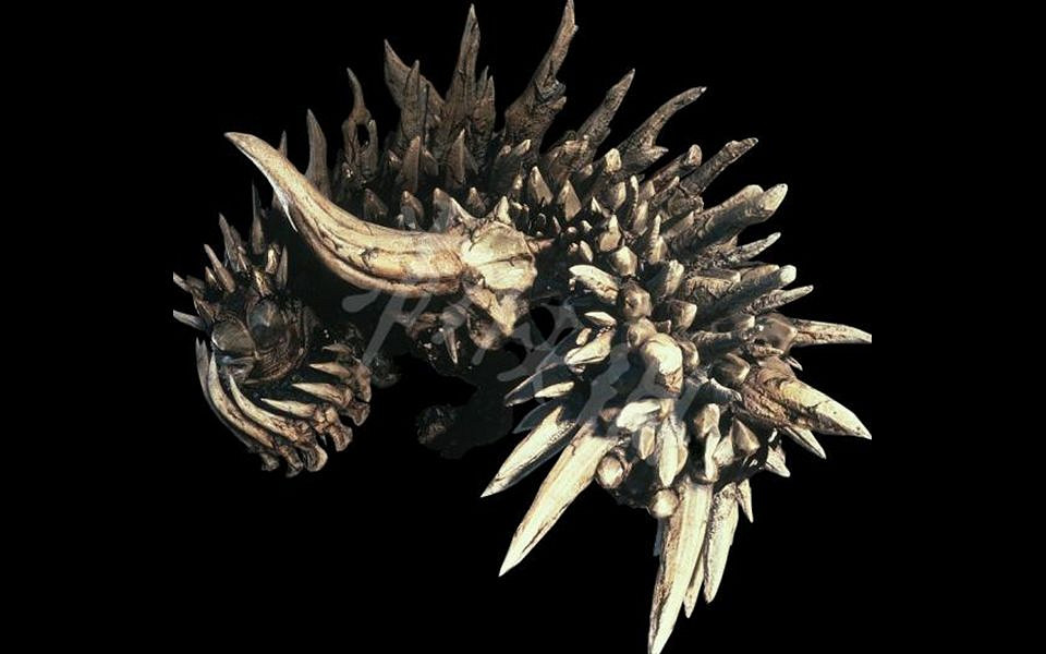 新大陸調查團書士支隊調查定期報告--怪獵世界生態盤點 新大陸調查團書士支隊調查定期報告--怪獵世界生態盤點