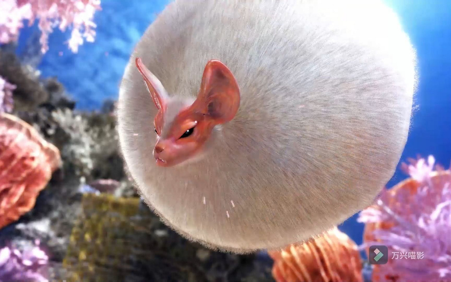 新大陸調查團書士支隊調查定期報告--怪獵世界生態盤點 新大陸調查團書士支隊調查定期報告--怪獵世界生態盤點